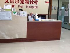 -艾贝尔宠物诊疗