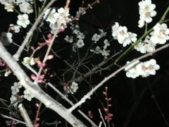 -山东大学(威海校区)