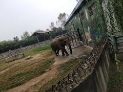 -西安秦岭野生动物园