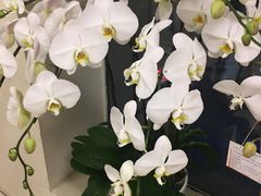 -茹·pure vegan(博华广场店)