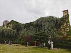 -府河摄影公园