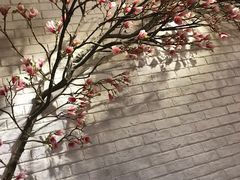 -云味馆·云南菜·云南米线(同泰时代广场店)