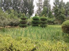 -燕郊植物园
