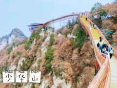 -少华山国家森林公园