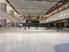 -TheRink大零溜冰场(IFS国金中心店)