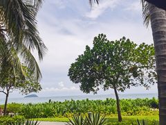 -三亚亚龙湾天域度假酒店