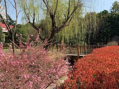 -上海虹桥迎宾馆