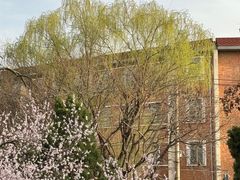 -桃花堤公园