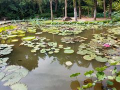 -曼听御花园