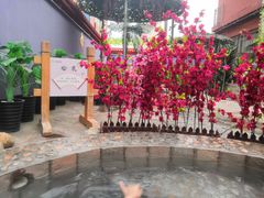 -兴芮温泉度假区