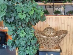-桃源村铁锅炖鱼(体育馆道店)