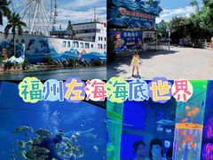-左海海底世界