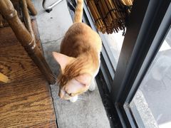 -251#coffee roasters(沿河东路店)