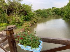 -上海海湾国家森林公园