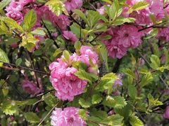 -长春公园(普阳街道)