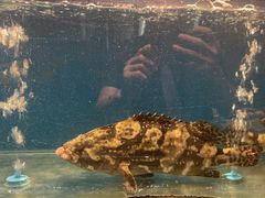 -百富源·海鲜辽菜(和平北大街店)