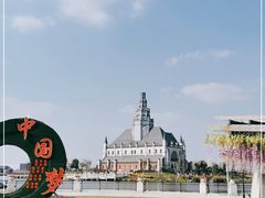 -荷兰花海