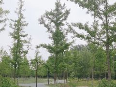 -张家湾公园