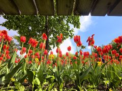 -长春公园(普阳街道)