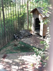 -萌宠亲子动物乐园(槐房万达店)