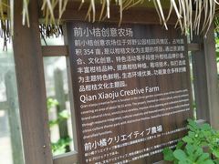 -前小桔亲子创意农场·草莓采摘·露营烧烤
