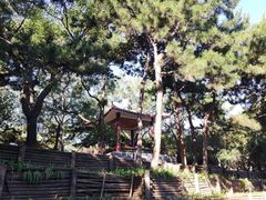 -长辛店二七公园