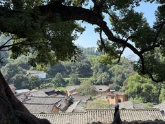 -杨家堂村