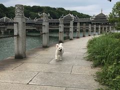 -食膳公园包子铺(烈士公园店)