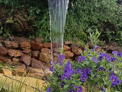 -名花谷生态庄园