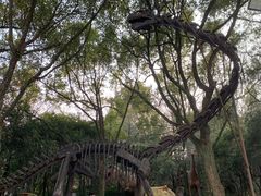-杭州少年儿童公园
