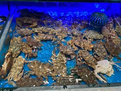 -SEA西雅图海鲜自助餐厅(海乐世界店)