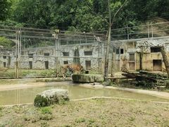 -黔灵山公园