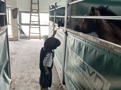 -李振强马术运动推广中心(南城店)