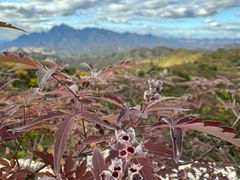 -蟠龙山长城景区