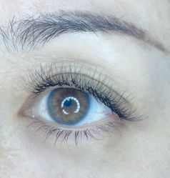 -BELLAREAL新美社