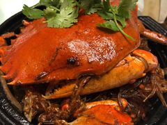 -新吉士·上海菜(浦东LCM置汇旭辉店)