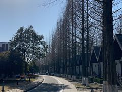 -太阳岛度假酒店