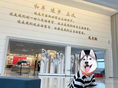 -宋庆龄陵园