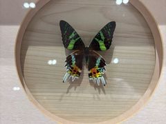 -深圳龙华星河COCO City(民治店)