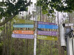 -东方绿舟景区