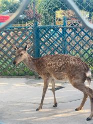 -萌宠亲子动物乐园(槐房万达店)