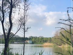 -昆山城市生态森林公园