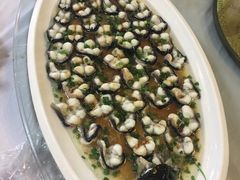 -呼吸森林·生态农庄农家乐私房菜