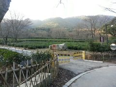 android_upload_pic-法云安缦酒店