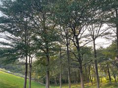 -东莞植物园