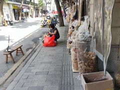 -清平中药材专业市场