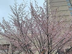 -大通公园