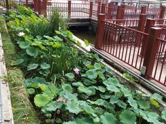 -西安汉城湖景区