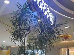 -野人先生Gelato(上海长宁龙之梦店)