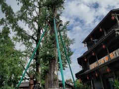 -崇州市街子古镇